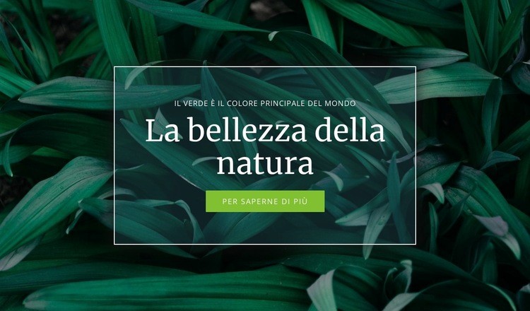 Segreto della natura Costruttore di siti web HTML