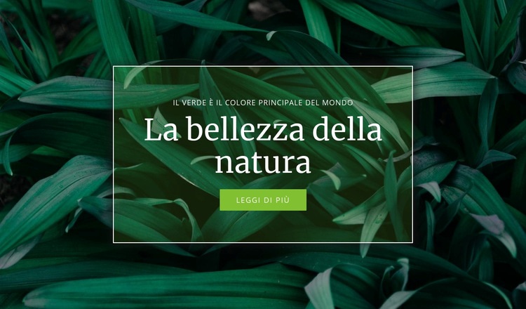 Segreto della natura Modello HTML5