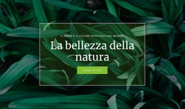 Segreto Della Natura - Pagina Di Destinazione Per Il Download Gratuito