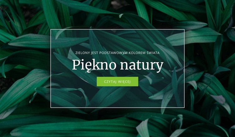 Sekret natury Motyw WordPress