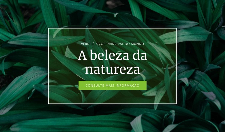 Segredo da natureza Design do site