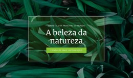 Segredo Da Natureza Modelo De Site CSS Gratuito