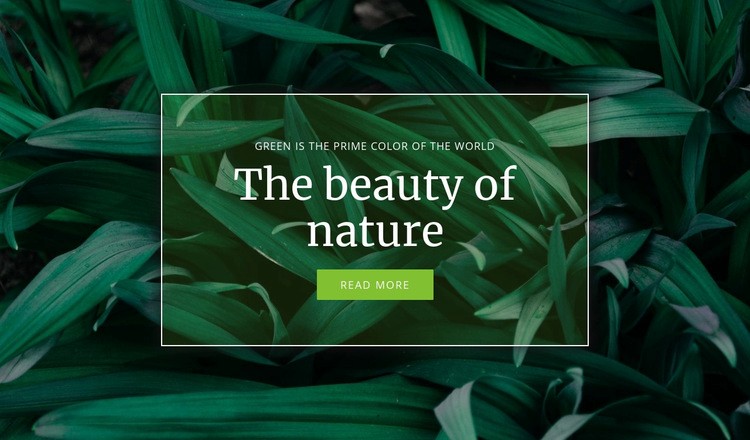 Naturens hemlighet Html webbplatsbyggare