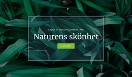 Naturens Hemlighet