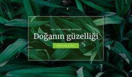 Doğanın Sırrı