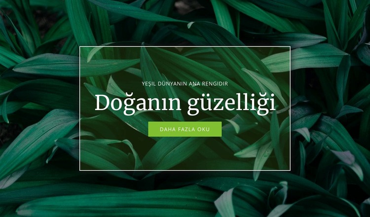 Doğanın sırrı Web Sitesi Oluşturucu Şablonları