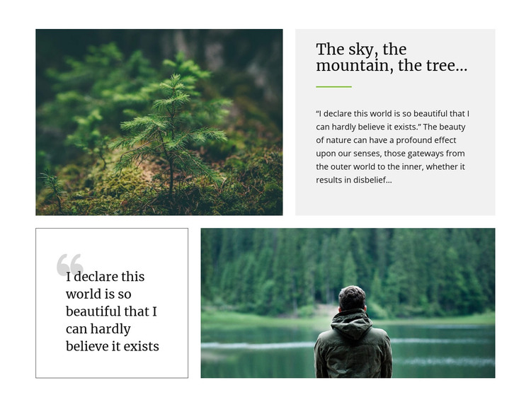 Sky mountain and  tree Homepage Design