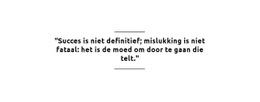 Succes In Niet Definitief