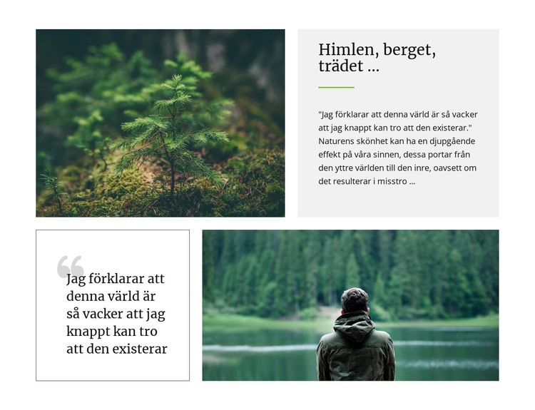 Himmelberget och trädet WordPress -tema