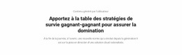 Conception De Site Web Pour Domination Des Stratégies