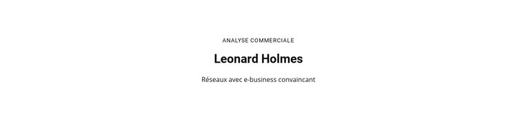 Analyse commerciale Modèle HTML5