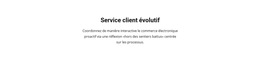 Service Clients – Modèle De Création De Site Web