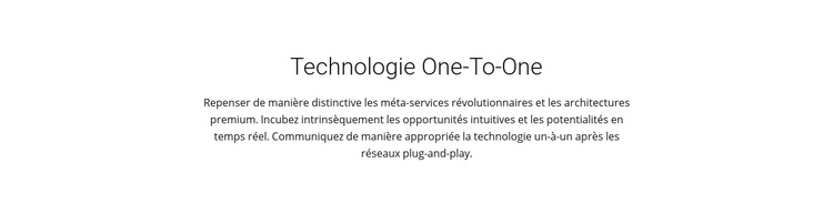 Technologie Onetoone Modèle de site Web