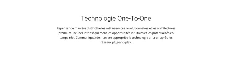 Technologie Onetoone Thème WordPress