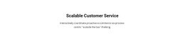 Customer Service - Html Code