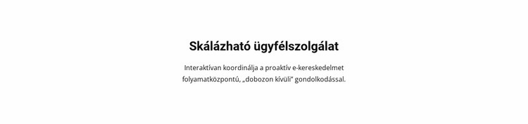 Vevőszolgálat HTML Sablon