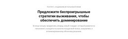 Стратегии Доминирования CSS Шаблон