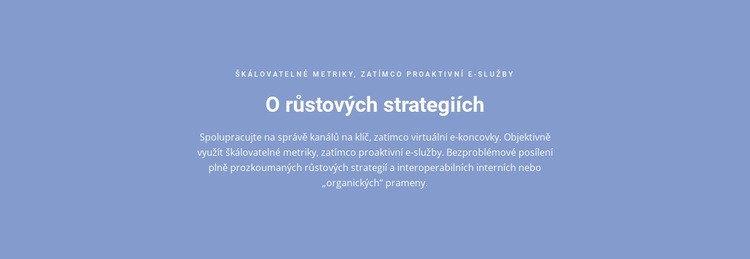 O růstových strategiích Šablona