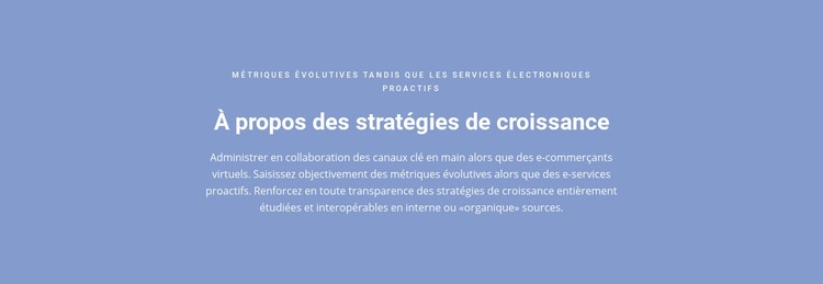 À propos des stratégies de croissance Modèle d'une page