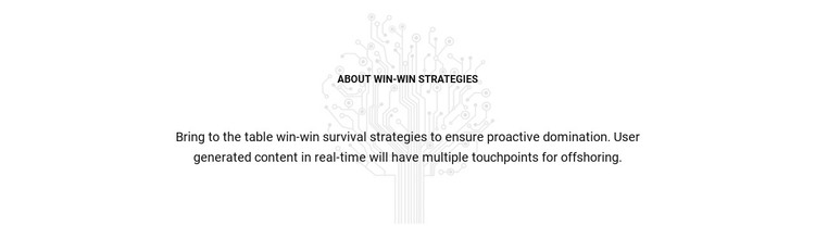 About Win Strategies HTML Template