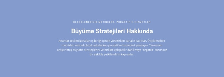 Büyüme Stratejileri Hakkında CSS Şablonu