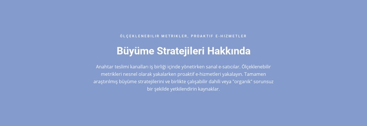 Büyüme Stratejileri Hakkında HTML Şablonu