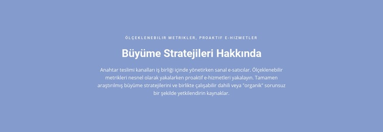 Büyüme Stratejileri Hakkında Joomla Şablonu