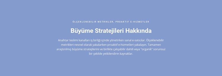 Büyüme Stratejileri Hakkında Şablon