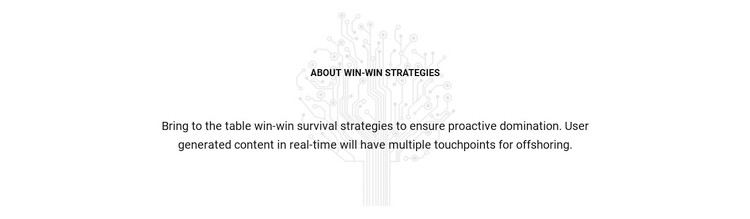 About Win Strategies Webflow Template Alternative