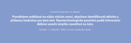 Text S Telefonním Číslem – Bezplatná Šablona Webových Stránek