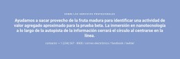 Texto Con Número De Teléfono - Mejor Página De Destino