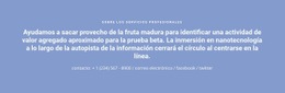 Texto Con Número De Teléfono Plantilla De Una Página