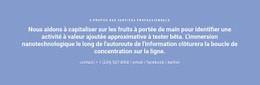 Texte Avec Numéro De Téléphone Modèle D'Une Seule Page