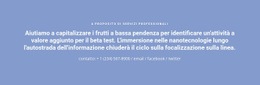 Testo Con Numero Di Telefono Modello A Pagina Singola