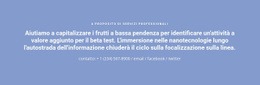 Testo Con Numero Di Telefono - Modello Definitivo Di Una Pagina