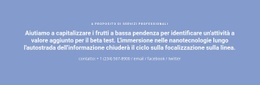 Testo Con Numero Di Telefono - Migliore Pagina Di Destinazione