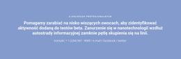 Tekst Z Numerem Telefonu Szablon Pojedynczej Strony