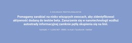 Tekst Z Numerem Telefonu - Ostateczny Szablon Jednostronicowy