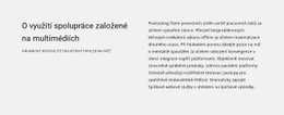 O Svazku Multimédií Šablona