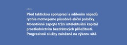 O Strategii Naše Společnost – Bezplatné Šablony Motivů Html5