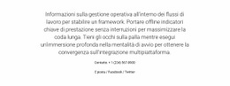 Modello Di Una Pagina Per Informazioni Sulla Gestione Operativa