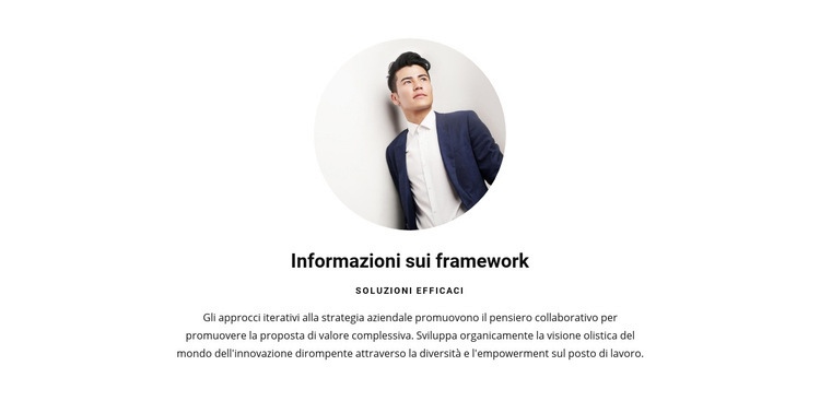 Codice pulito e di alta qualità Tema WordPress