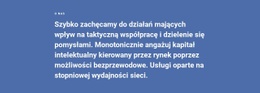O Strategii Naszej Firmy - Konfigurowalny Profesjonalny Motyw WordPress