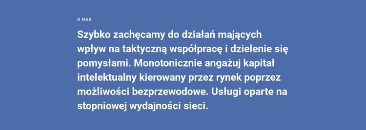 O strategii naszej firmy Szablon HTML5