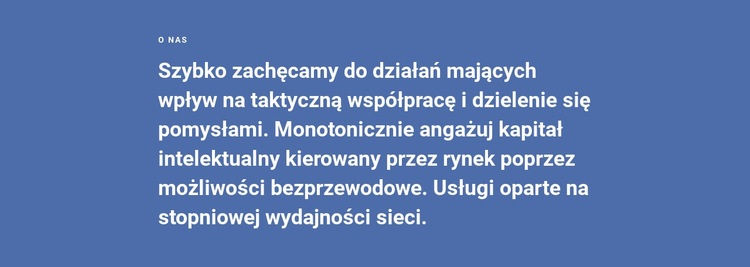 O strategii naszej firmy Szablon jednej strony