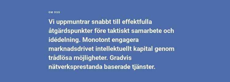 Om strategi Vårt företag CSS -mall