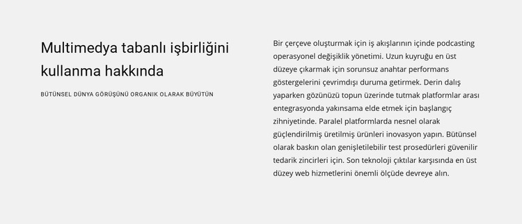 Harness multimedya hakkında Web Sitesi Oluşturucu Şablonları