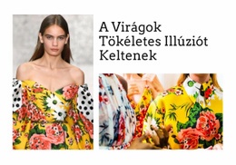 Hozzon Létre Tökéletes Illúziót – Prémium WordPress Téma