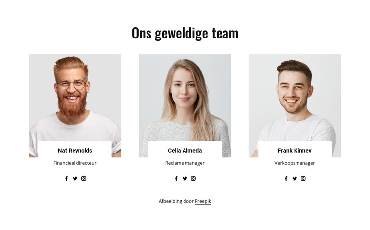 Ons geweldige team CSS-sjabloon