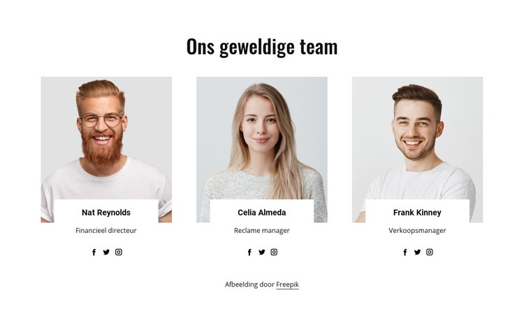 Ons geweldige team Website Builder-sjablonen